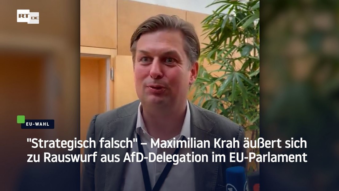 "Strategisch falsch" – Maximilian Krah äußert sich zu Rauswurf aus AfD-Delegation im EU-Parlament