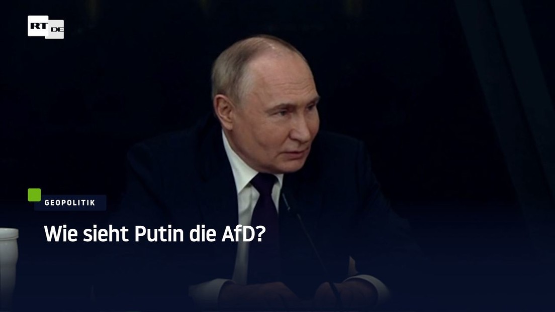 Wie sieht Putin die AfD?