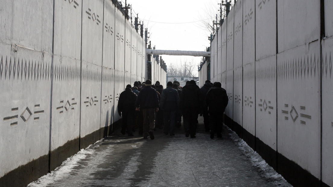 "Werden laufen wie Forrest Gump" – Ukrainische Armee rekrutiert tausende Kriminelle