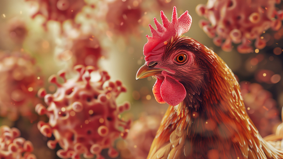 Neue Pandemie nach altem Muster – die Vogelgrippe kommt