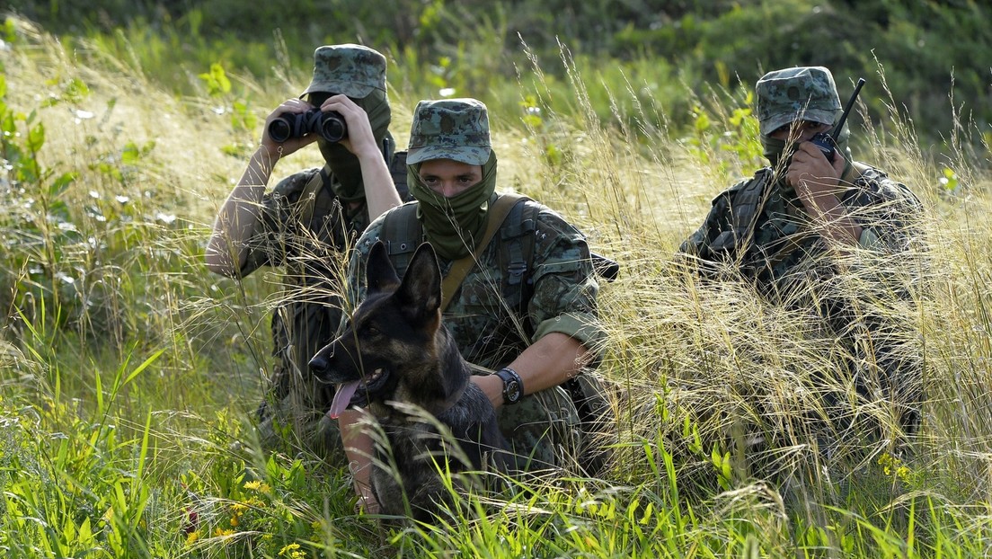 Russlands Grenzschutz vereitelt Durchbruchsversuch ukrainischer Kämpfer ins Gebiet Kursk