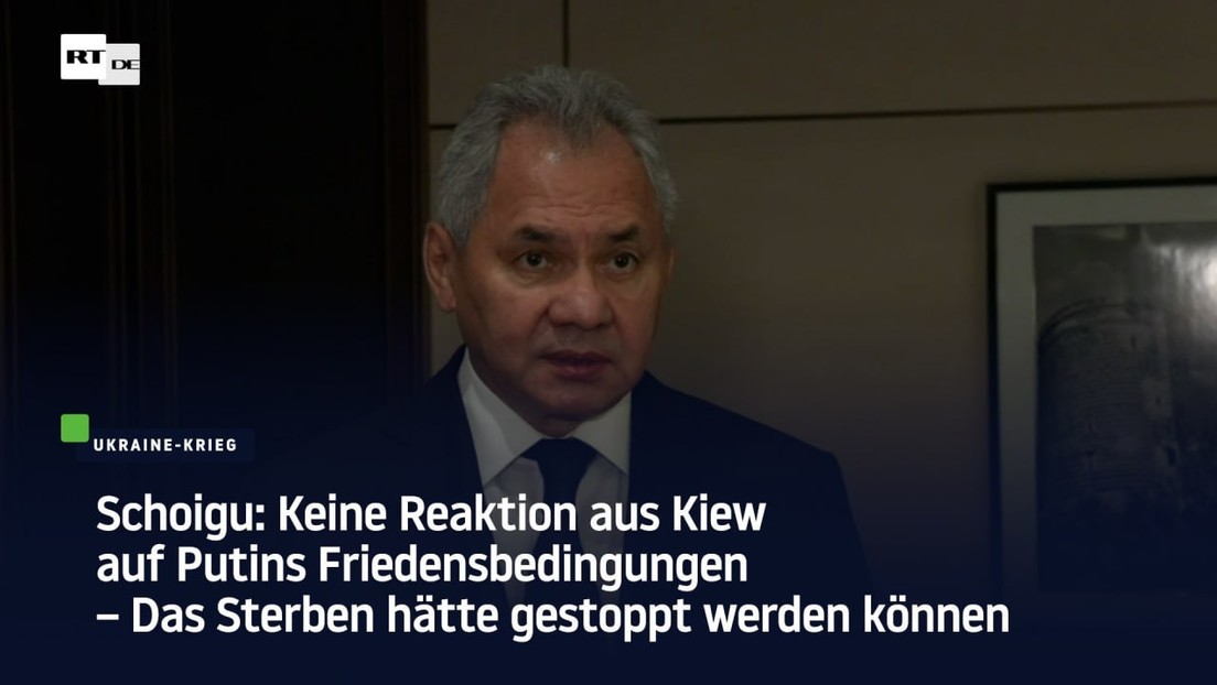 Schoigu: Ukraine hat seit Mitte Juni mehr als 115.000 Soldaten verloren