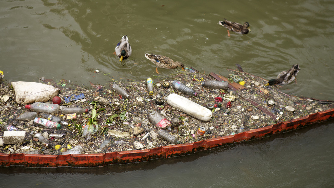 Paris: Erneut Absage eines olympischen Trainings in der Seine