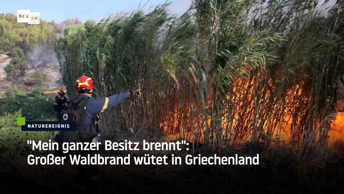 "Mein ganzer Besitz brennt": Großer Waldbrand wütet in Griechenland