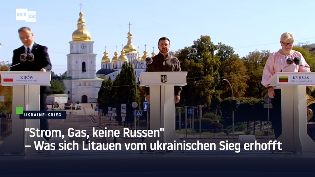 "Strom, Gas, keine Russen" – Was sich Litauen vom ukrainischen Sieg erhofft