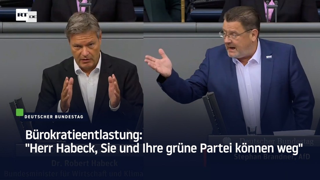 Bürokratieentlastung: "Herr Habeck, Sie und Ihre grüne Partei können weg"