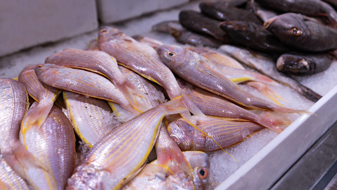 Russische Behörde: Israel, Polen und Dänemark importieren wieder Fischprodukte aus Fernost