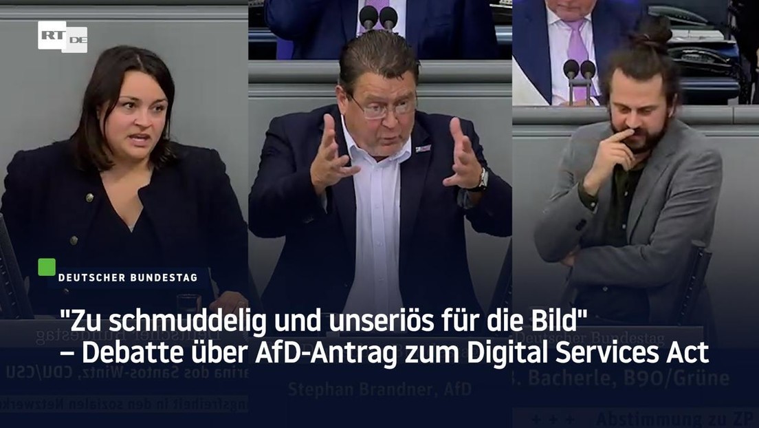 "Zu schmuddelig und unseriös für die Bild" – Debatte über AfD-Antrag zum Digital Services Act