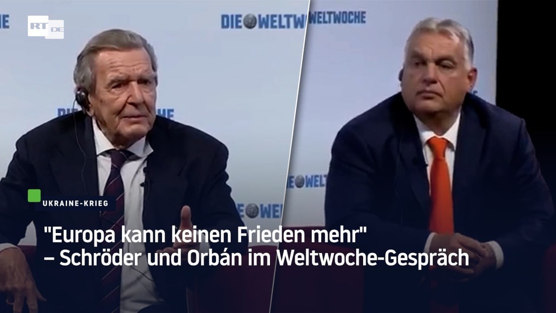 "Europa kann keinen Frieden mehr" – Schröder und Orbán im Weltwoche-Gespräch