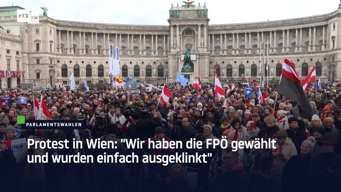 Protest in Wien: "Wir haben die FPÖ gewählt und wurden einfach ausgeklinkt"