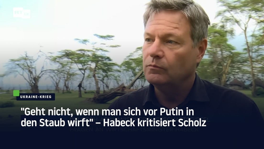 "Es geht nicht, sich vor Putin in den Staub zu werfen" – Habeck kritisiert Scholz