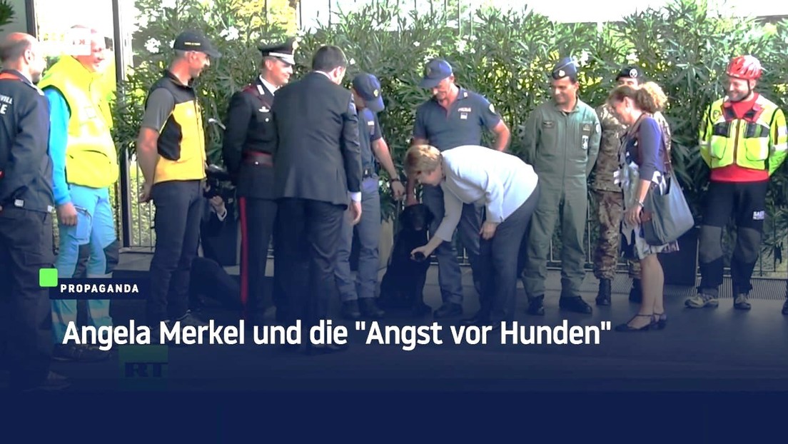 Angela Merkel und die "Angst vor Hunden"