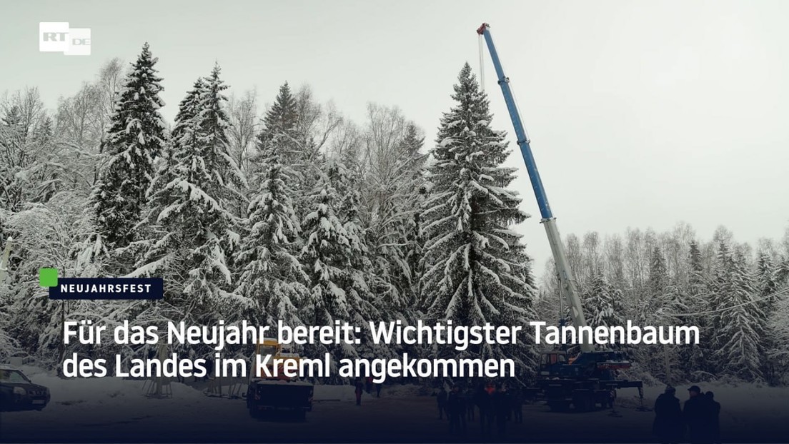 Für das Neujahr bereit: Wichtigster Tannenbaum des Landes im Kreml angekommen