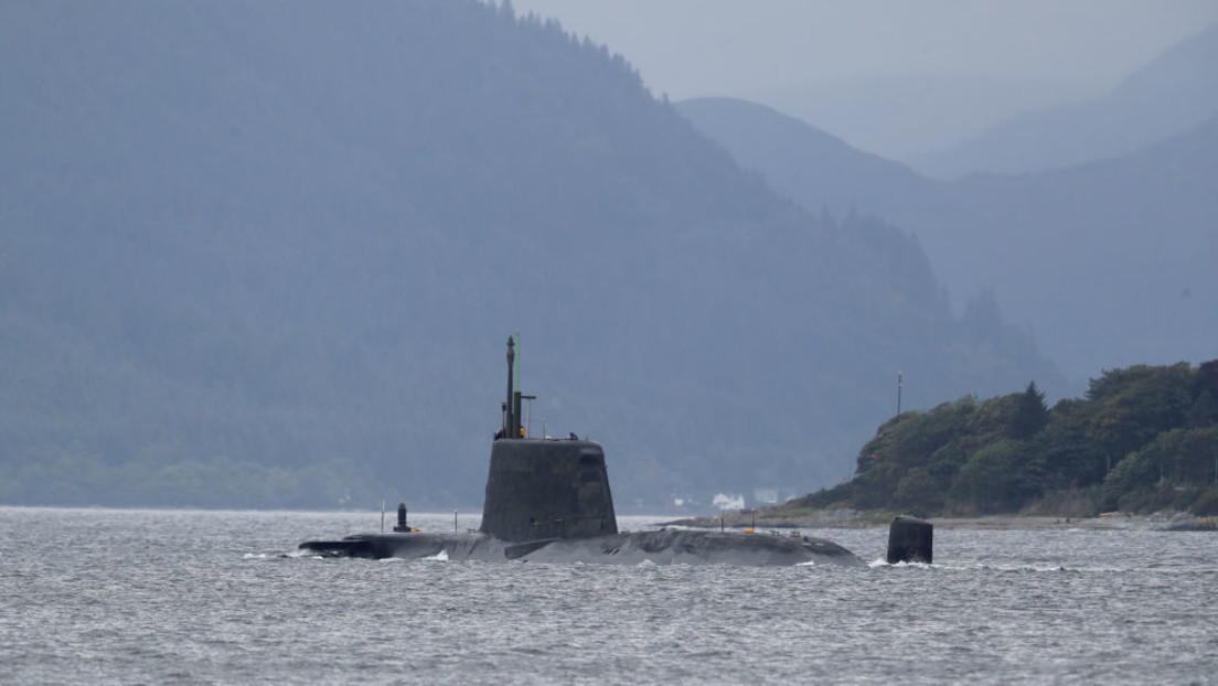 Großbritannien: Wal steckte hinter "russischer Attacke" bei U-Boot-Fehlalarm