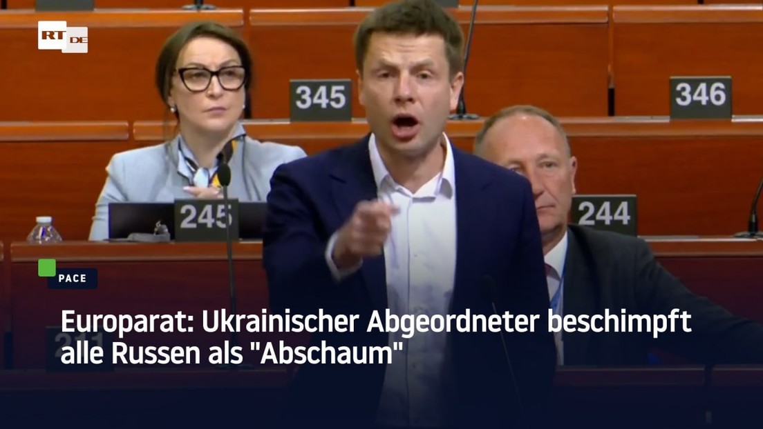 Europarat: Ukrainischer Abgeordneter bricht Geschäftsordnung und beleidigt auf Russisch