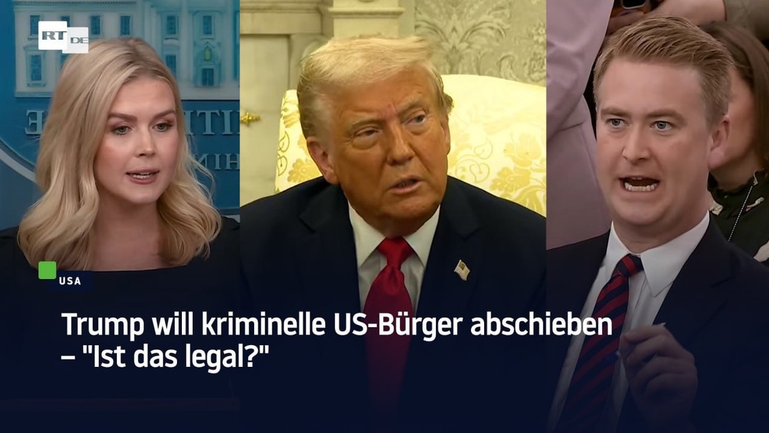 "Absolute Monster" – Trump will kriminelle US-Bürger abschieben