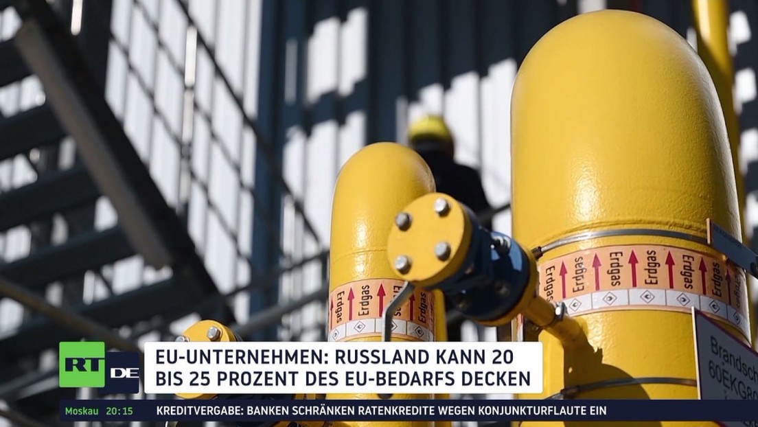 Zurück zu russischem Gas? Russland kann 20 bis 25 Prozent des EU-Bedarfs decken