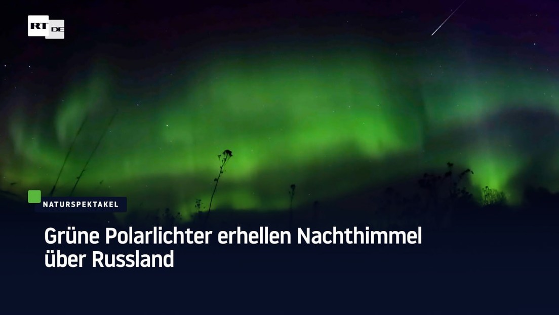 Grüne Polarlichter erhellen Nachthimmel über Russland