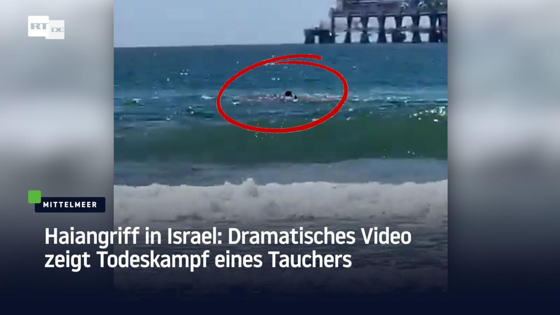 Haiangriff in Israel: Dramatisches Video zeigt Todeskampf eines Tauchers