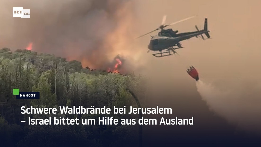 Schwere Waldbrände bei Jerusalem – Israel bittet um Hilfe aus dem Ausland