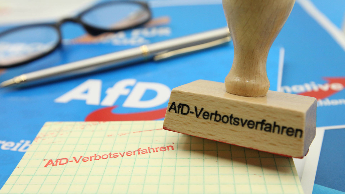 AfD klagt gegen Verfassungsschutz