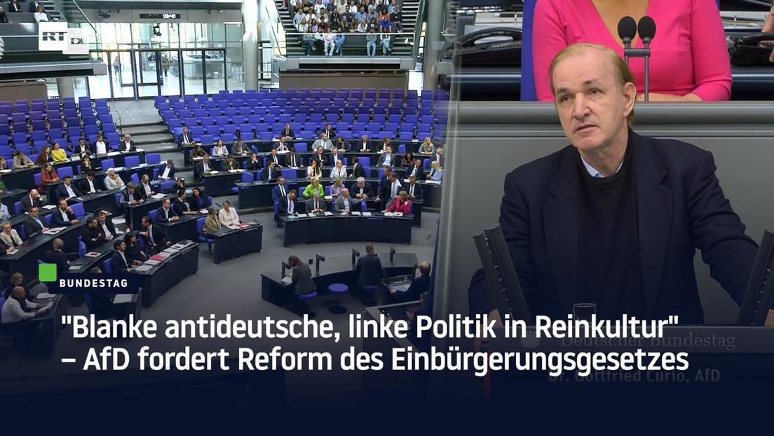 "Blanke antideutsche, linke Politik in Reinkultur" – AfD fordert Reform des Einbürgerungsgesetzes