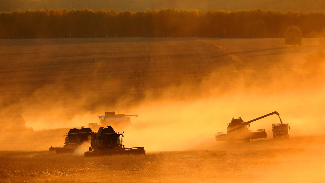Afrika: Russland steigert Weizenexporte, Frankreich verliert Boden