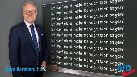 Bundestag: AfD-Abgeordneter sagt "Remigration" und erhält eine Rüge