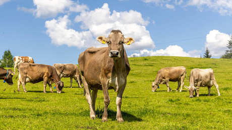 Klimaminister Schneider kündigt härtere Maßnahmen für Landwirte an
