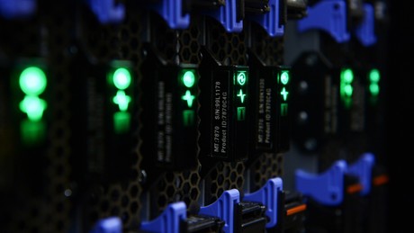 Experten: IT-Branche in Russland wächst stark – trotz aller Hindernisse
