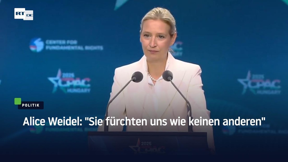 Alice Weidel: "Sie fürchten uns wie keinen anderen"