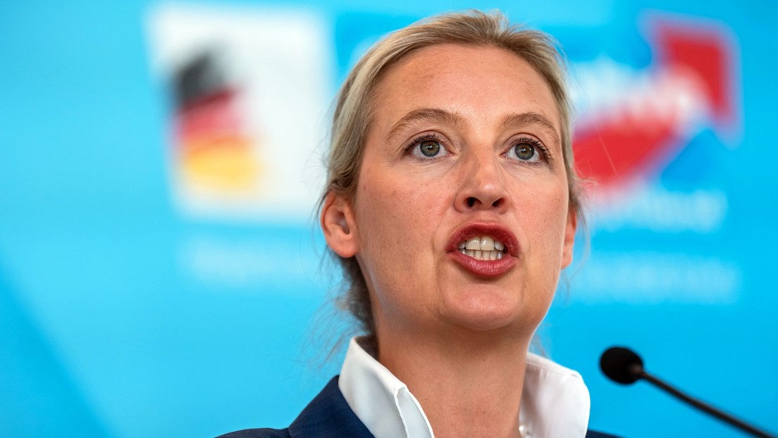 AfD-Chefin Weidel: "Merz sabotiert Trumps Friedensmission"