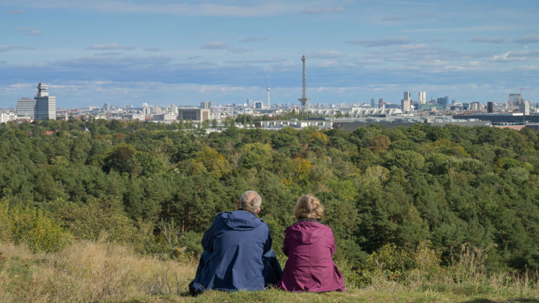 Der tägliche Wahnsinn:  Klimaschutz: Berlin holzt den Grunewald ab – für eingeforderte Windräder