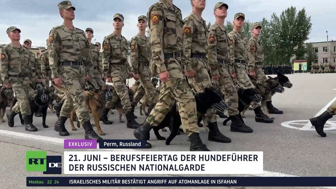 Exklusiv: Diensthunde in der Sonderoperation – Einzigartige Schule der russischen Nationalgarde