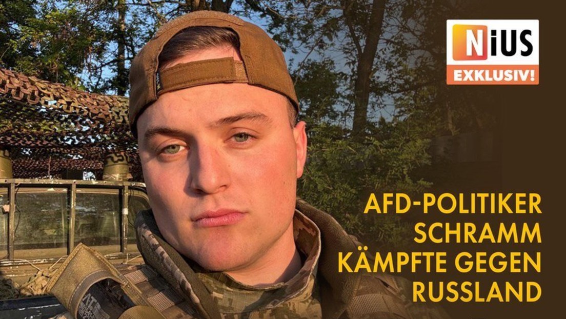 Gegen Russland: Transatlantische Medien bringen zwei AfD-Politiker in Stellung