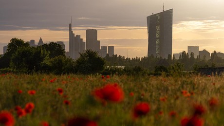 Krisenreaktion: EZB senkt Leitzins auf zwei Prozent