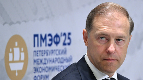Vizepremier Manturow: Russland setzt auf "kluge" Auslandsinvestitionen