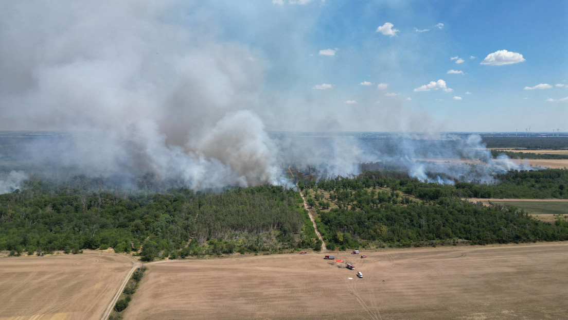Waldbrände wüten in Sachsen – 600 Hektar betroffen