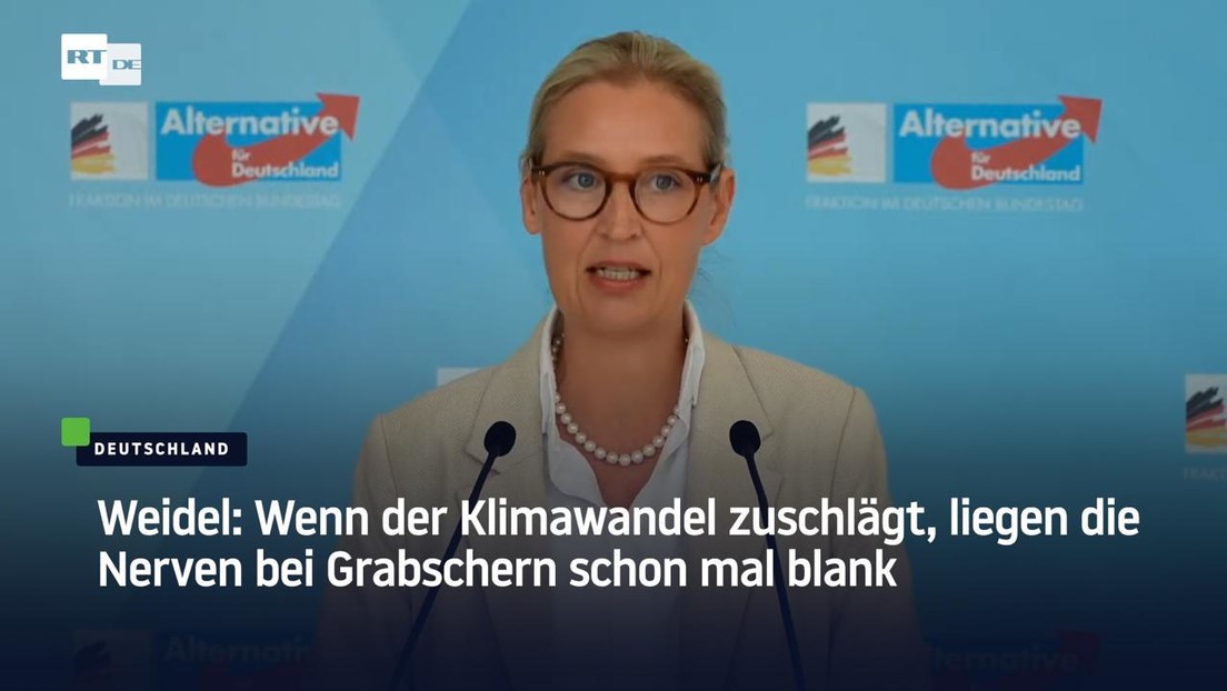 Weidel: Wenn der Klimawandel zuschlägt, liegen die Nerven bei Grabschern schon mal blank