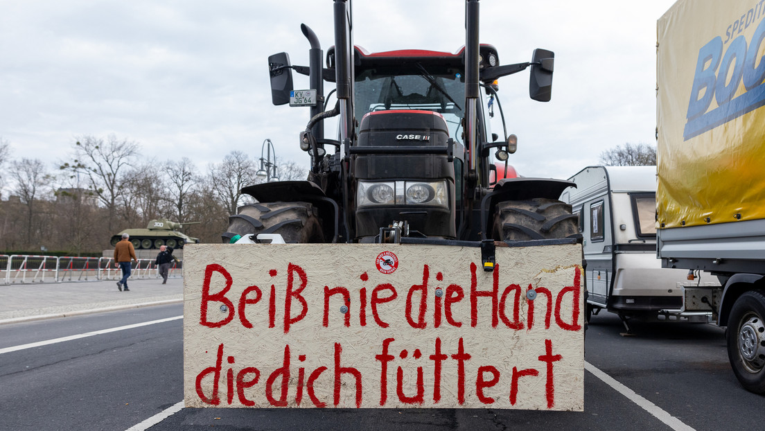 Lobbyismus und Bauernproteste zeigen Wirkung – EU reduziert Importe ukrainischer Agrarprodukte