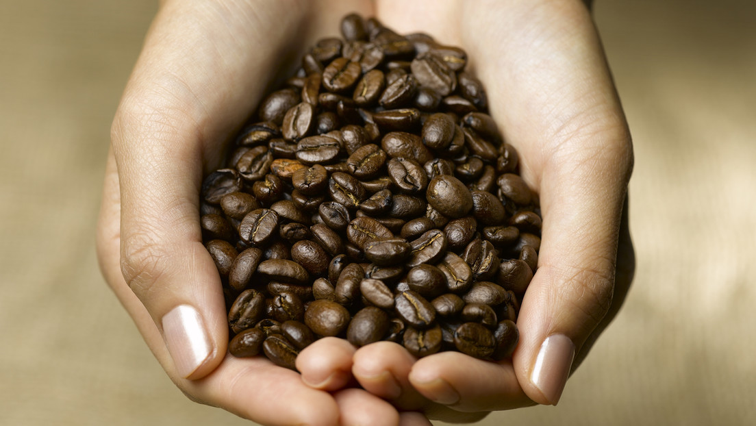 Politisches Eigentor: 50-Prozent-Zölle lassen Kaffee-Preise steigen - auch in den USA