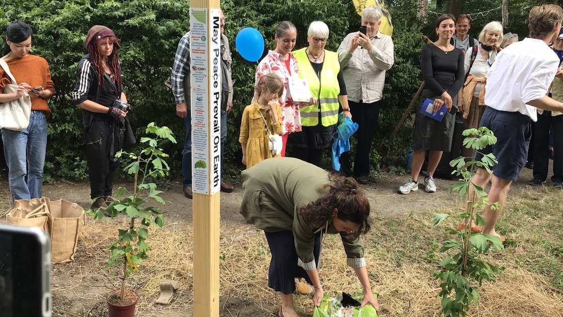 Ginkgobäumchen und Friedenspfahl: Bürgerpark in Berlin-Mitte zur atomwaffenfreien Zone erklärt