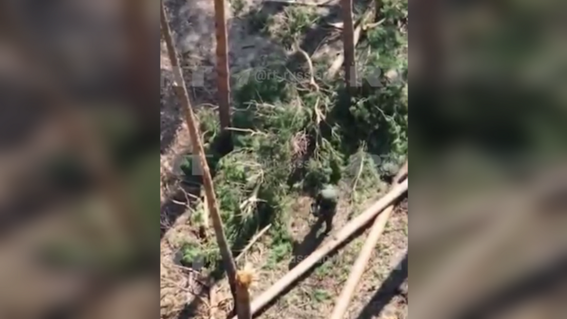 VIDEO: Russischer Soldat fängt ukrainische Drohne mit bloßen Händen
