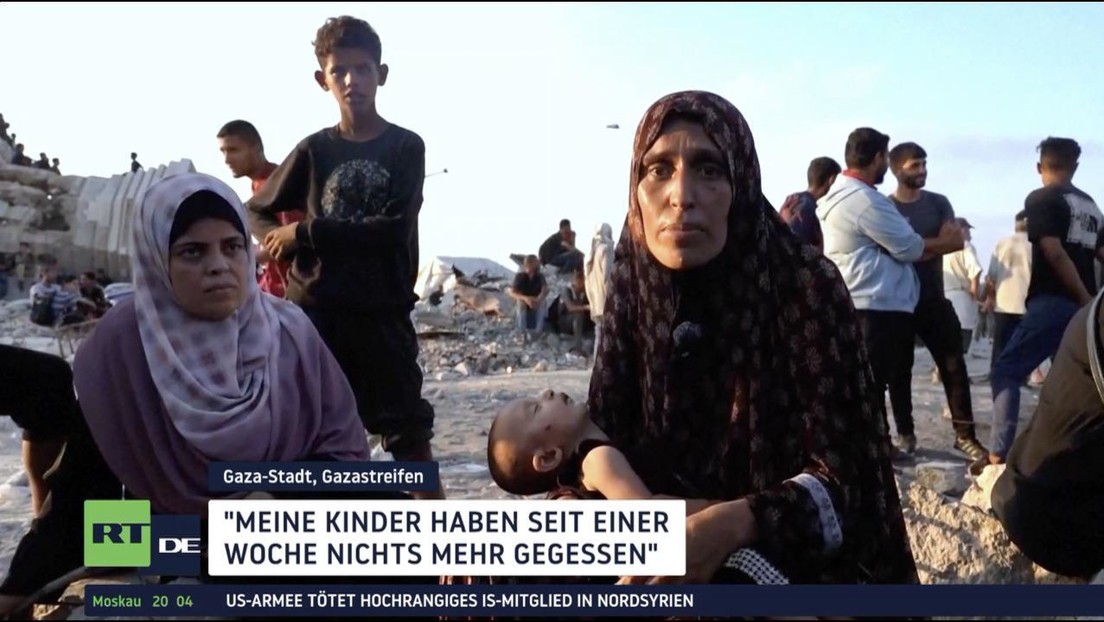 Verzweiflung im Gazastreifen – Tausende suchen Hilfe an Grenze