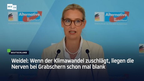 Weidel: Wenn der Klimawandel zuschlägt, liegen die Nerven bei Grabschern schon mal blank