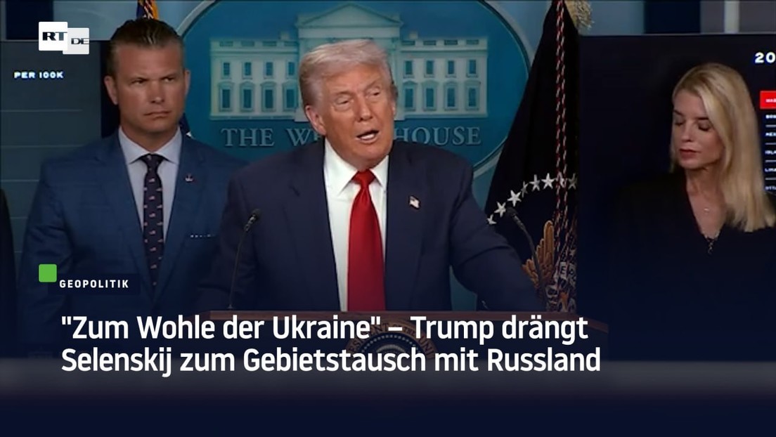 "Zum Wohle der Ukraine" – Trump drängt Selenskij zum Gebietstausch mit Russland