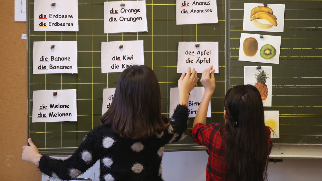 Sprachkrise an Schweizer Schulen: Deutschkenntnisse brechen ein