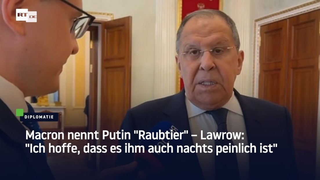 Macron nennt Putin "Raubtier" – Lawrow: "Ich hoffe, dass es ihm auch nachts peinlich ist"