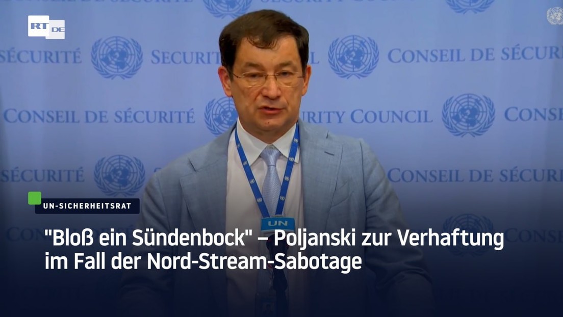"Bloß ein Sündenbock" – Poljanski zur Verhaftung im Fall der Nord-Stream-Sabotage