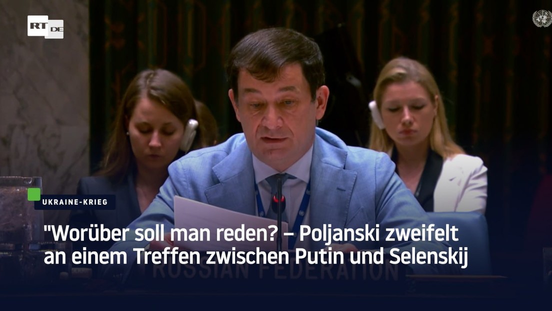 "Worüber soll man reden? – Poljanski zweifelt an einem Treffen zwischen Putin und Selenskij